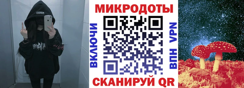 кракен вход  Новосибирск  Галлюциногенные грибы Psilocybine cubensis 