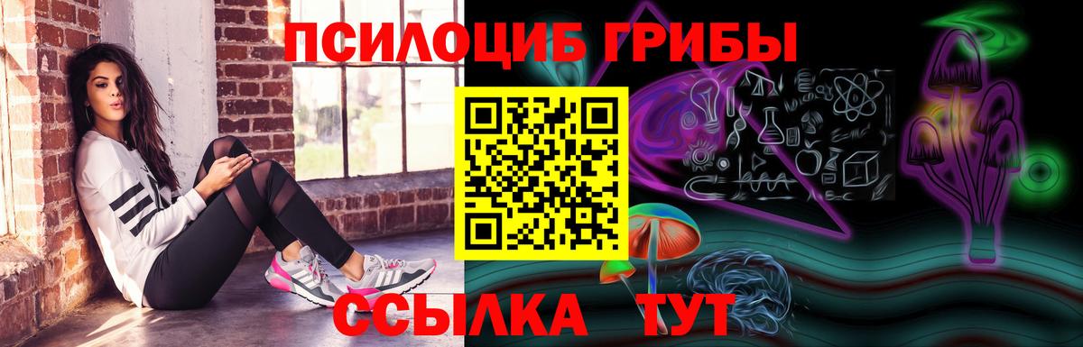 Псилоцибиновые грибы мицелий  Вход с VPN  сколько стоит  Новосибирск 