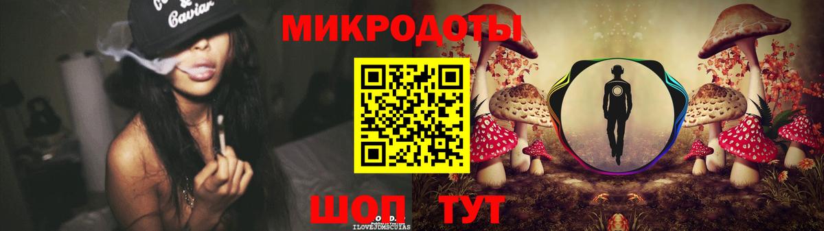 Псилоцибиновые грибы мицелий Новосибирск