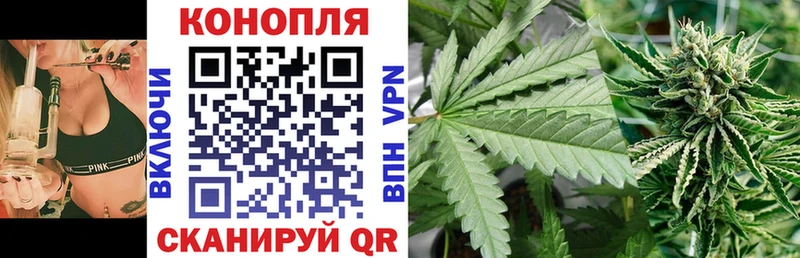 Шишки марихуана AK-47  дарк нет как зайти  Новосибирск  сколько стоит 